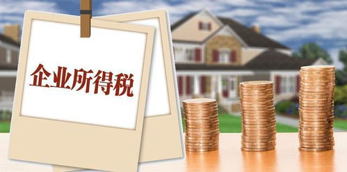 企业所得税纳税人范畴、征税规定及会计处理