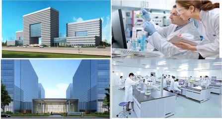 麻涌崛起 打造穗莞合作专业化产城融合中心，领航生物科技研发新篇章