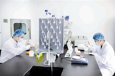 保持清醒忧患 加快发展步伐 生物科技研发领域的新机遇与挑战