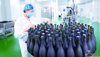 酵亿生物科技 以深度创新驱动研发，迈向生物科技价值链高端