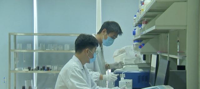 生物科技研发 以实干精神加快知识产权转化，为创新型企业注入金融活水